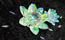 Load image into Gallery viewer, Flowers Ab Iridescent Duo for pictures!
